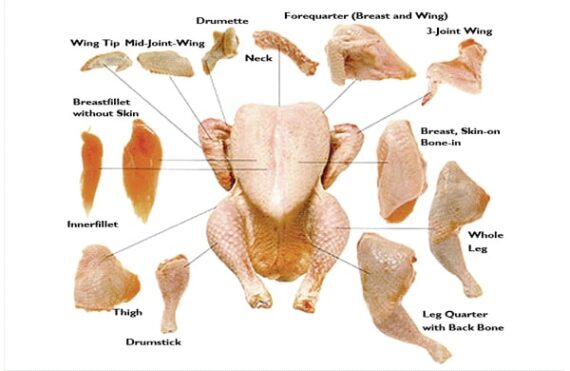 Halal Frozen Chicken Parts