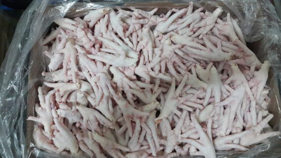 Halal Frozen Chicken Paws & Feet For Sale - Image 3