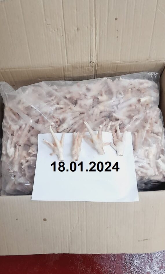 Halal Frozen Chicken Paws & Feet For Sale - Image 2