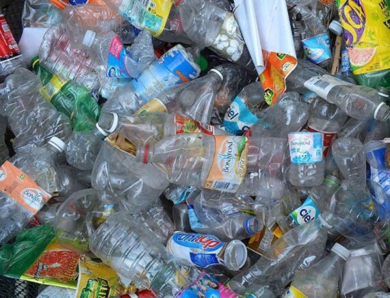 Pet Plastic Bottle Scrap/Regrind