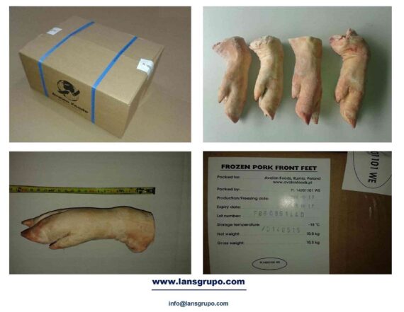 Frozen Pork Meat Suppliers