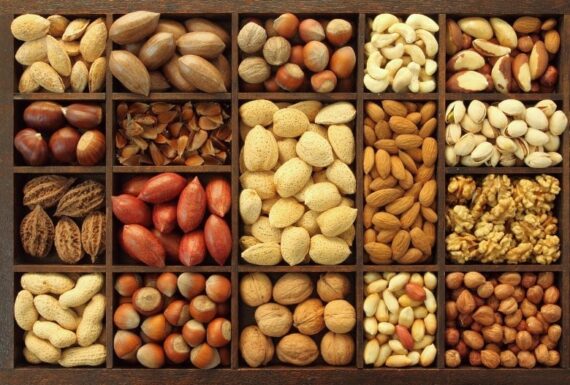 Edible Nuts